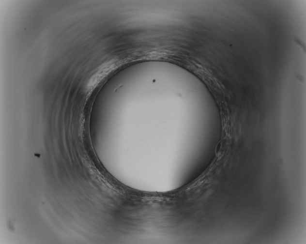 X0000101230242200807111127