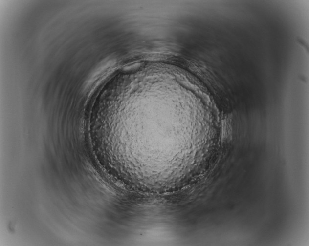 X0000101230243200807111127