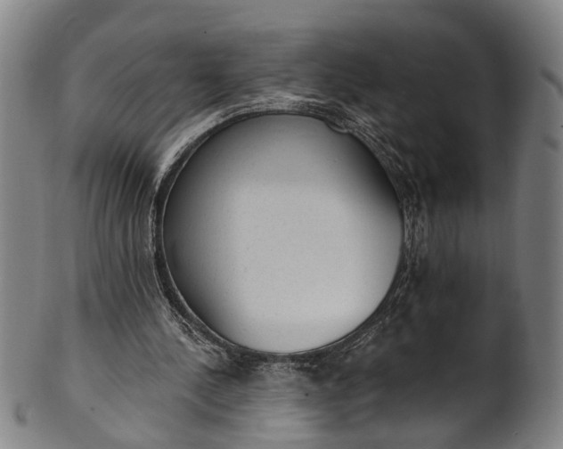 X0000101230244200807111127