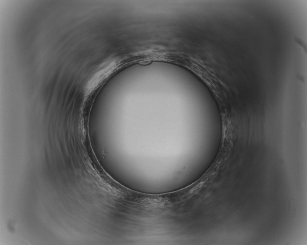 X0000101230245200807111127