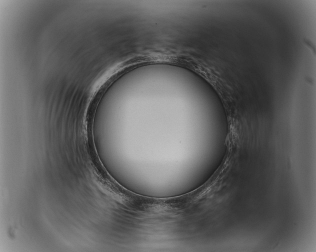 X0000101230246200807111127