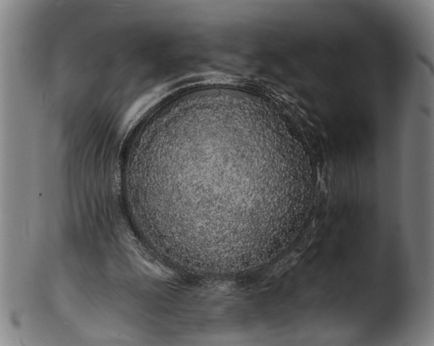 X0000101230247200807111127