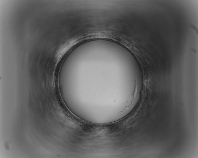 X0000101230248200807111127