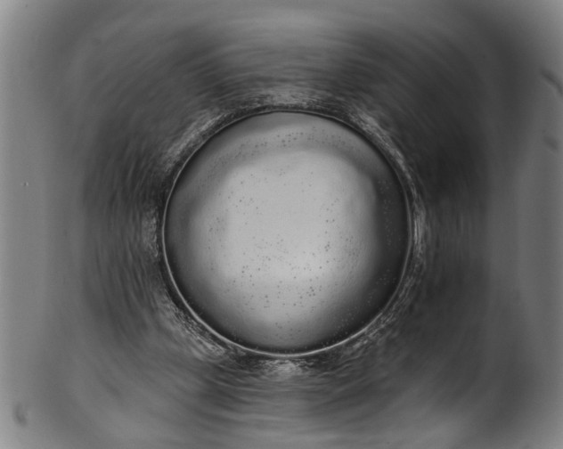 X0000101230249200807111127