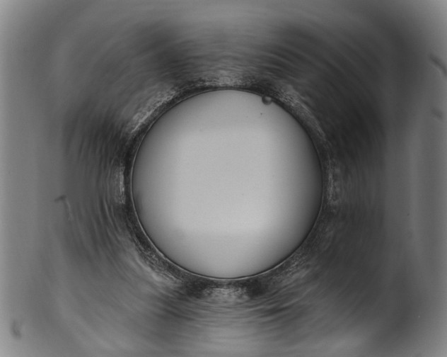 X0000101230251200807111127