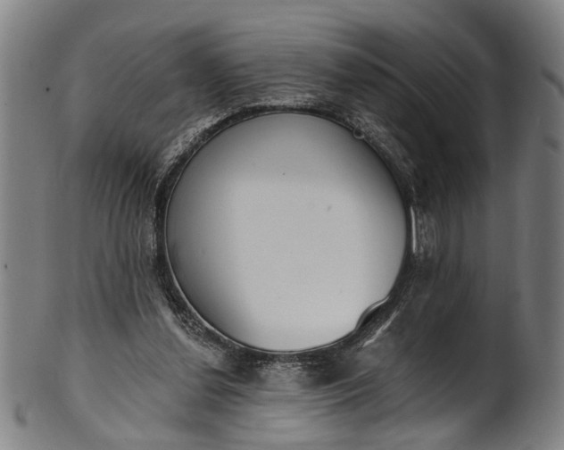 X0000101230252200807111127