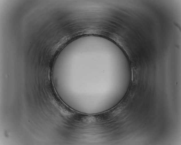 X0000101230253200807111127