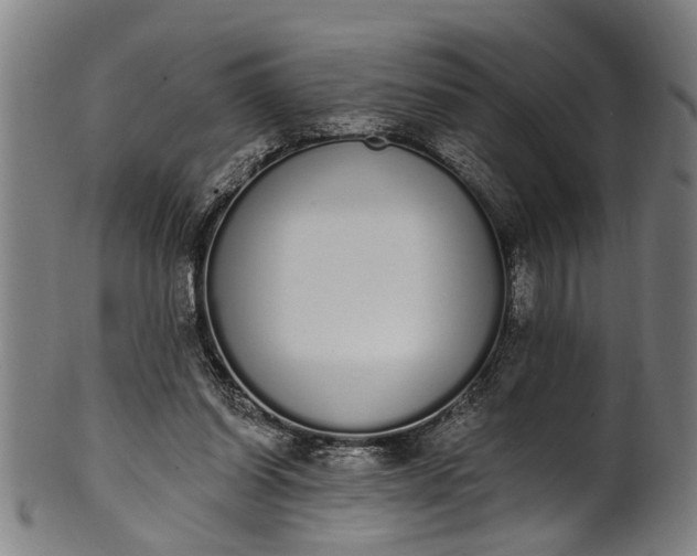 X0000101230254200807111127