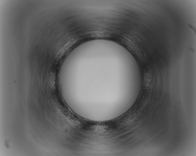 X0000101230255200807111127