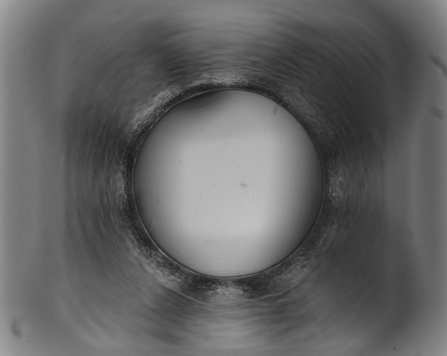 X0000101230256200807111127