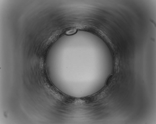 X0000101230257200807111127