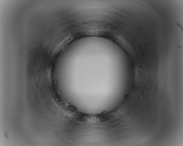 X0000101230258200807111127