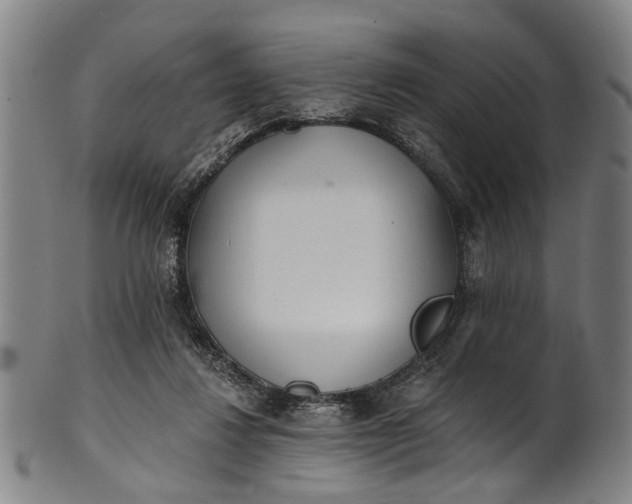 X0000101230260200807111127