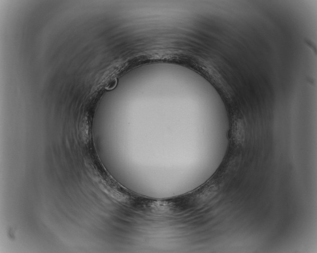 X0000101230261200807111127