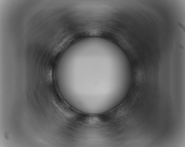 X0000101230262200807111127