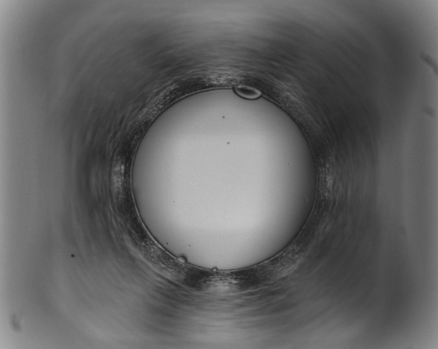 X0000101230263200807111127