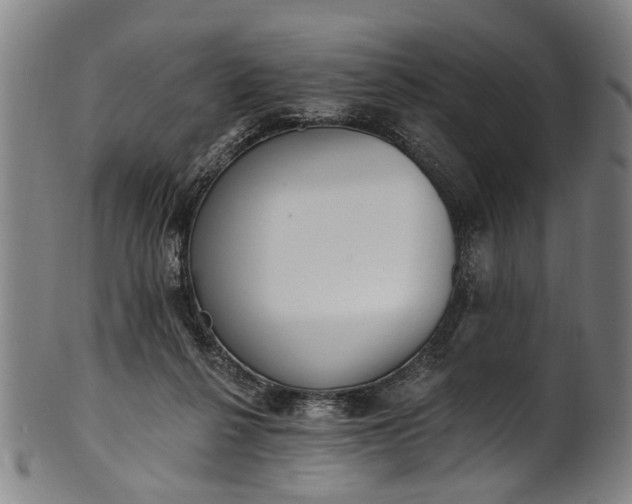 X0000101230264200807111127