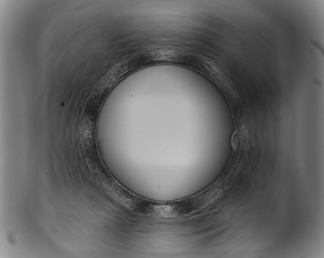 X0000101230265200807111127