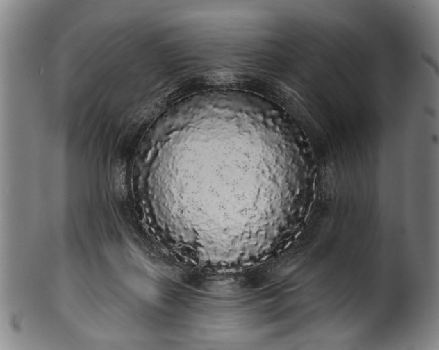 X0000101230267200807111127