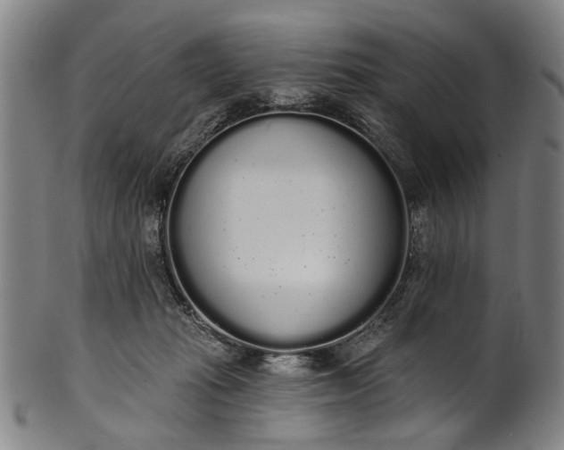 X0000101230269200807111127