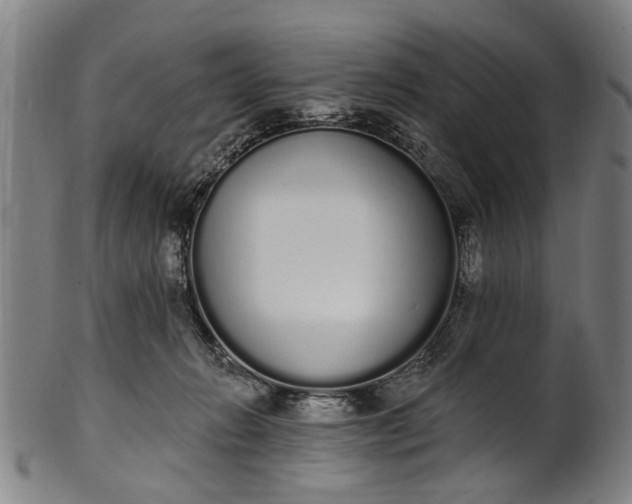 X0000101230270200807111127