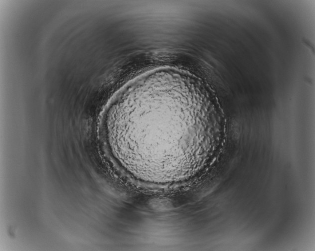 X0000101230271200807111127