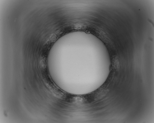 X0000101230272200807111127