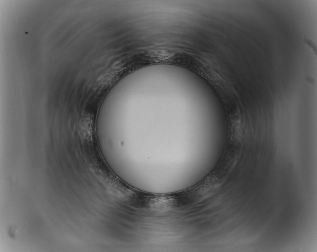 X0000101230274200807111127