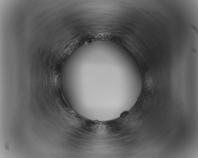 X0000101230276200807111127