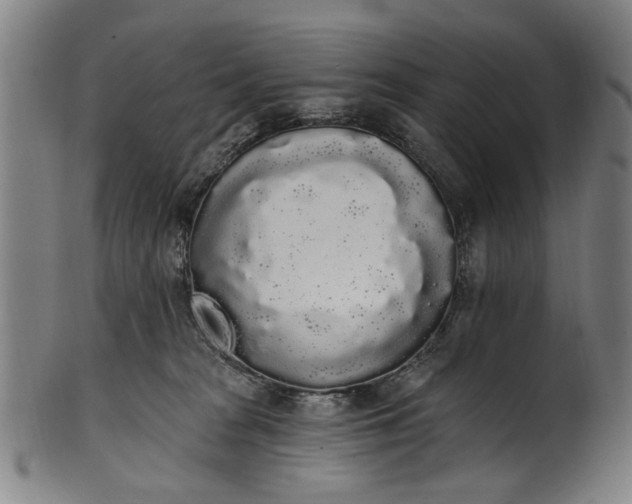 X0000101230277200807111127