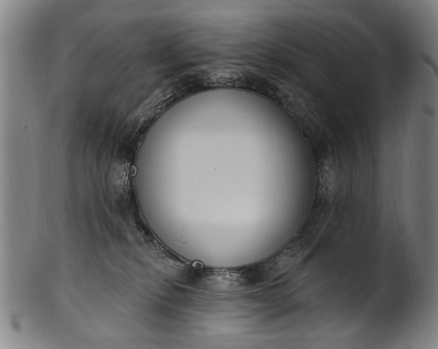 X0000101230278200807111127