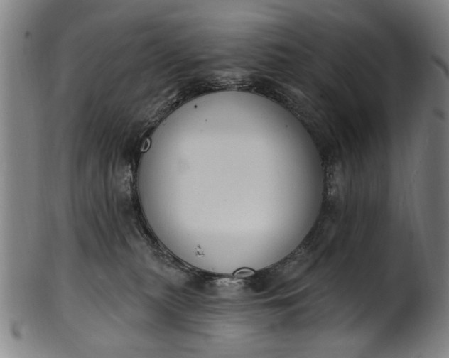 X0000101230279200807111127