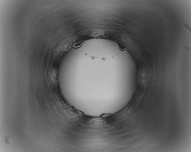 X0000101230280200807111127