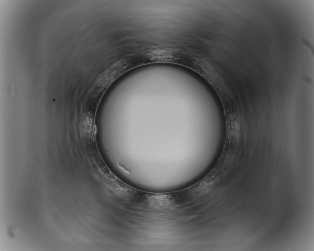 X0000101230281200807111127