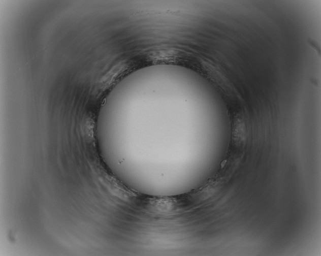 X0000101230282200807111128