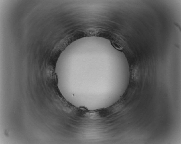 X0000101230283200807111128