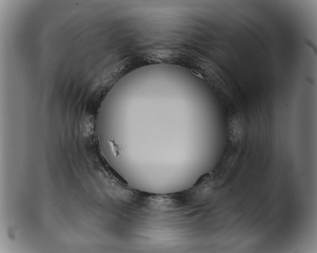 X0000101230284200807111128