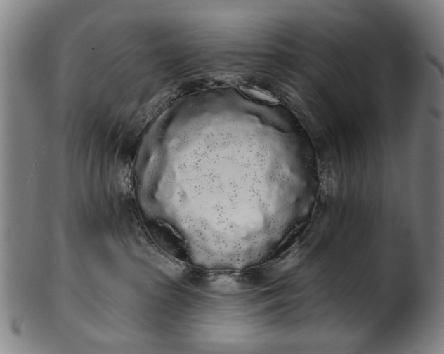 X0000101230285200807111128