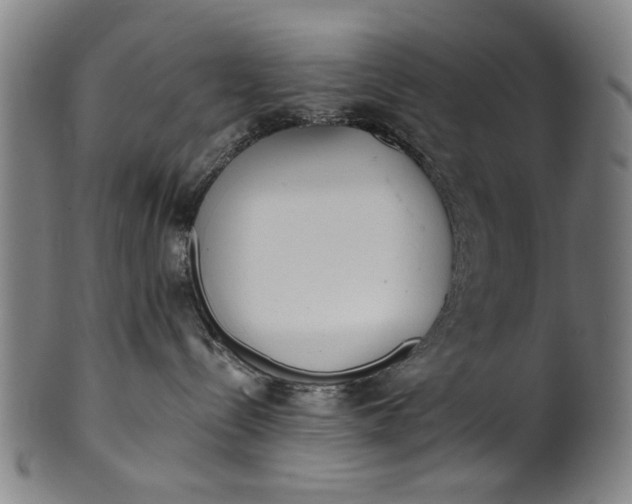 X0000101230288200807111128