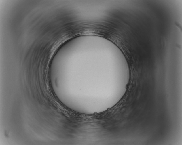 X0000101230289200807111127