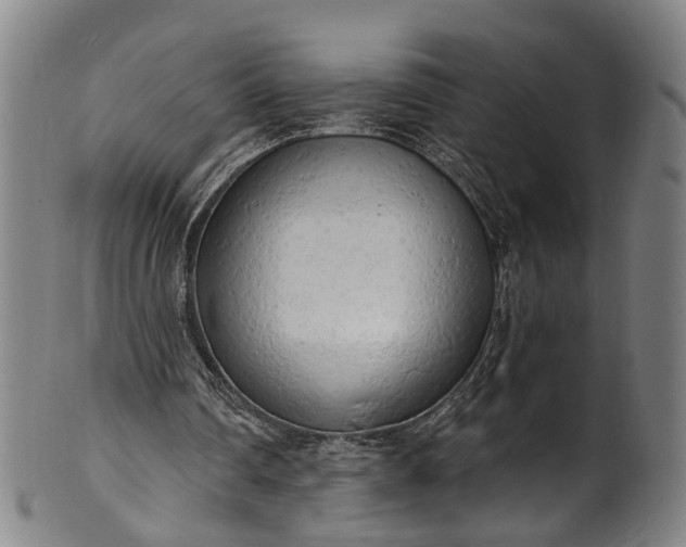 X0000101230290200807111127