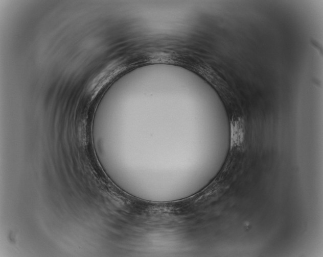 X0000101230291200807111127