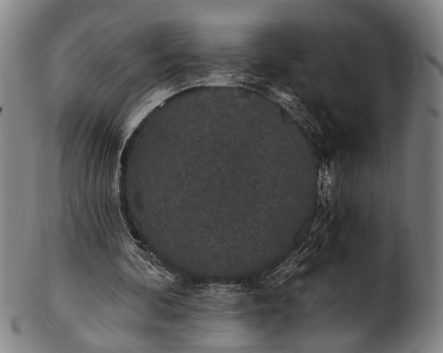 X0000101230292200807111127