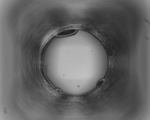 X0000101230293200807111127