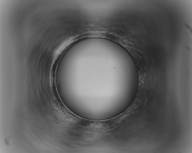 X0000101230294200807111127