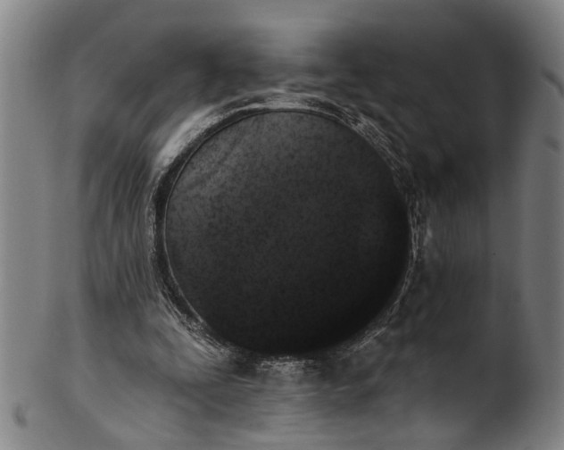 X0000101230295200807111127