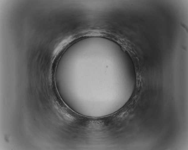 X0000101230296200807111127