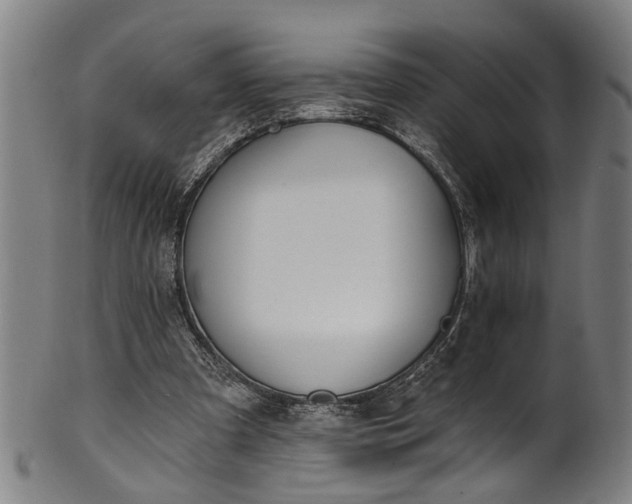 X0000101230297200807111127