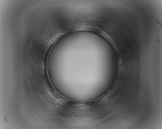 X0000101230298200807111127