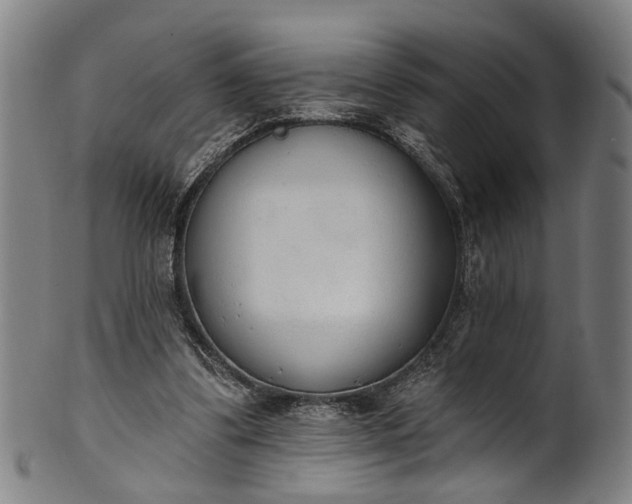 X0000101230299200807111127